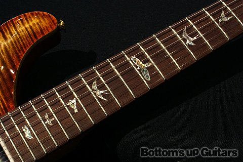 PRS現地選定品 希少モデル P22 2012 Experience Limited Artist Package -Autumn Sky-