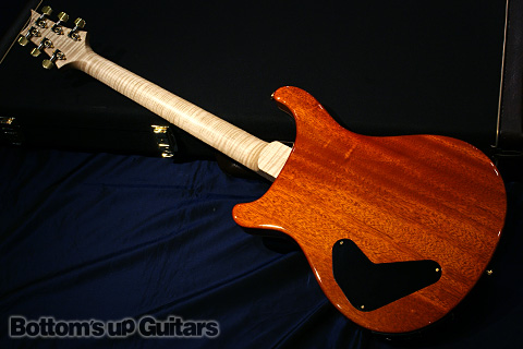 PRS現地選定品 希少モデル P22 2012 Experience Limited Artist Package -Autumn Sky-