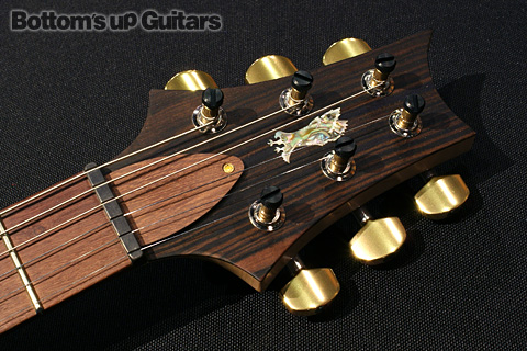 PRS現地選定品 希少モデル P22 2012 Experience Limited Artist Package -Autumn Sky-