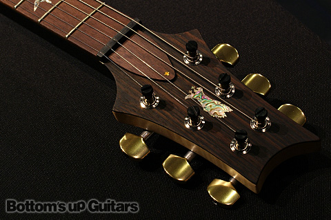 PRS現地選定品！ 希少モデル P22 2012 Experience Limited Artist Package -Cherry Vanilla Burst-