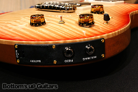 PRS現地選定品！ 希少モデル P22 2012 Experience Limited Artist Package -Cherry Vanilla Burst-