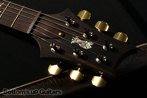 PRS現地選定品！ 希少モデル P22 2012 Experience Limited Artist Package -Livingston Lemon Drop-