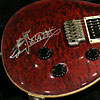 1997 Custom24 Bird and 10Top Quilt - Black Cherry-