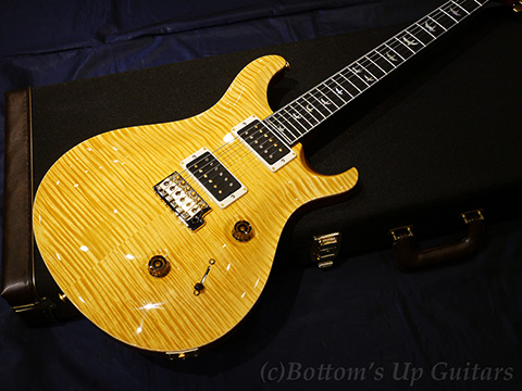 PRS 30th Anniversary Custom24 Artist Package -Honey-