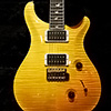 PRS 30th Anniversary Custom24 Artist Package -Honey-