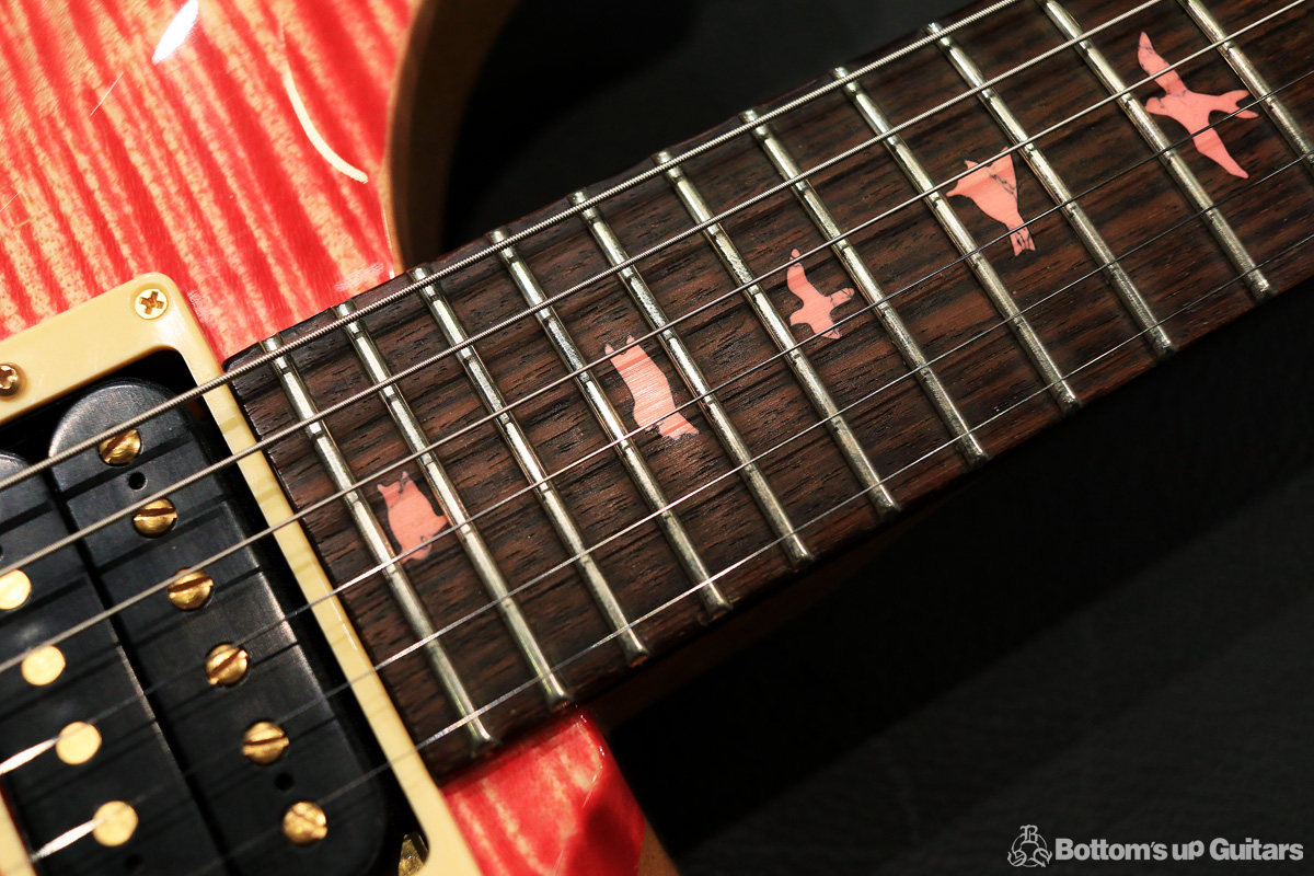 Paul Reed Smith 2008 Custom24STP Korina Limited Edition マニア垂涎の超希少モデル 通称カスコリ 限定 特注 オーダー品