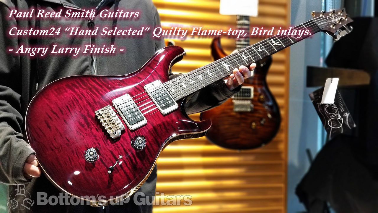 Paul Reed Smith(PRS) {BUG} 特別選定商談会 Hand Select Custom24 Bird inlays Angry Larry