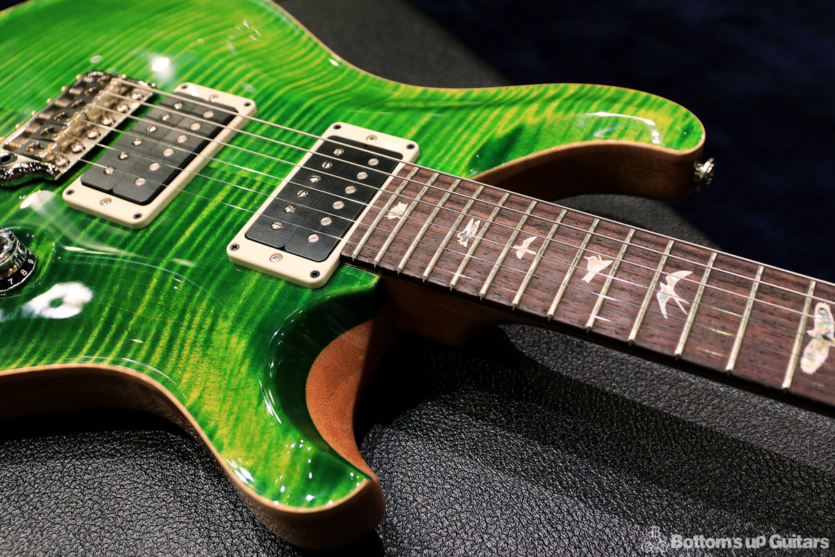 Paul Reed Smith(PRS)  {BUG} 2019 Custom24-08 - Emerald / Natural Back / レギュラーグリップ - 【B.U.G.厳選の一本!】