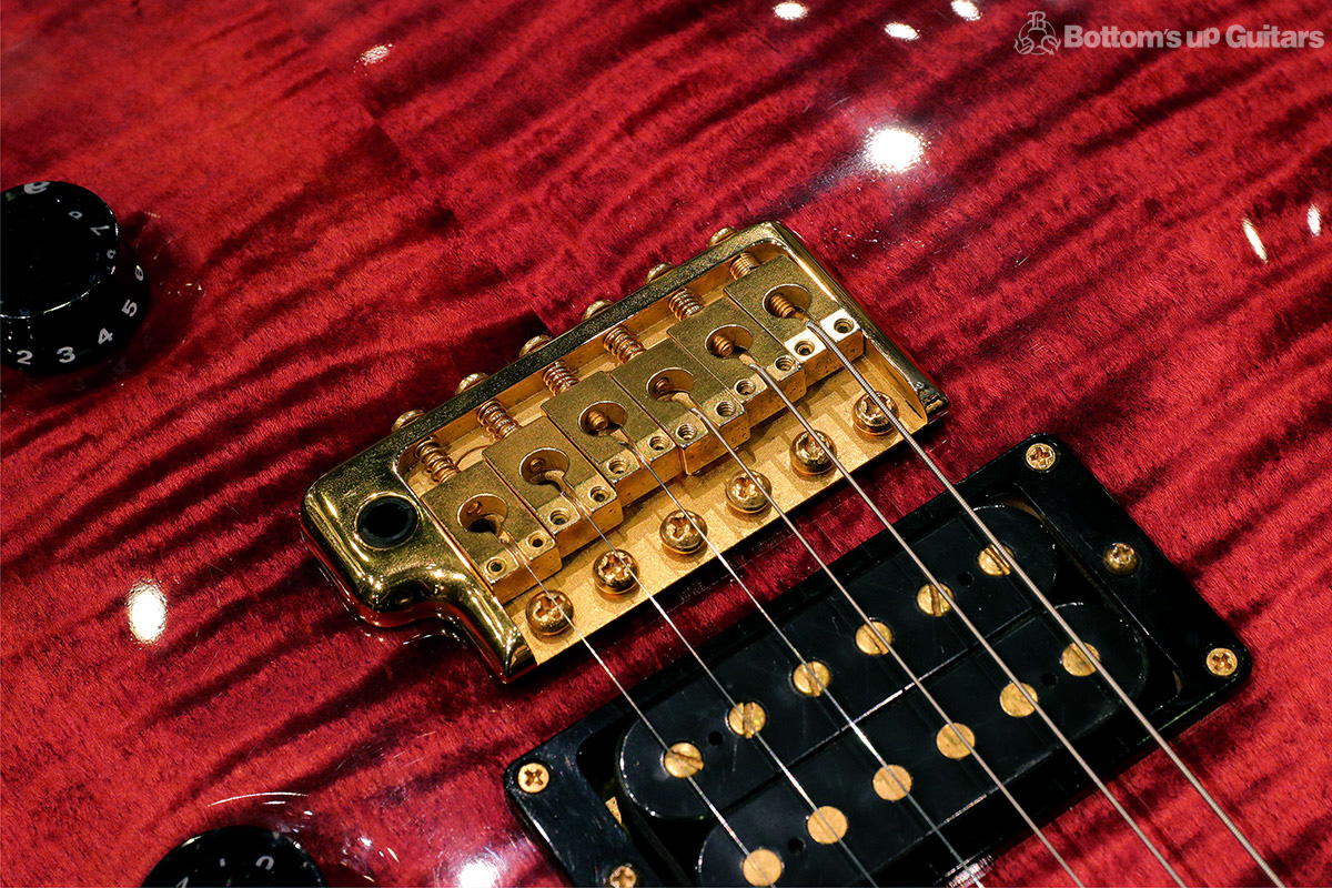 Paul Reed Smith(PRS)  {BUG}  1996 CE22Trem Bird inlay GHW - Purple - 【超希少なバードインレイCE22!】