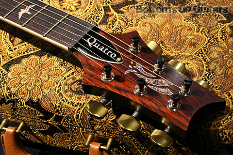 Modern Eagle Quatro -Black Gold Wraparound Burst- 2012 Experience PRS現地選定品