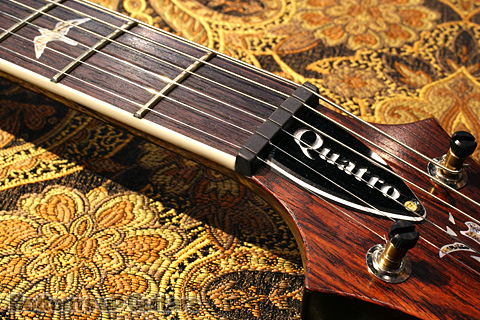 Modern Eagle Quatro -Black Gold Wraparound Burst- 2012 Experience PRS現地選定品