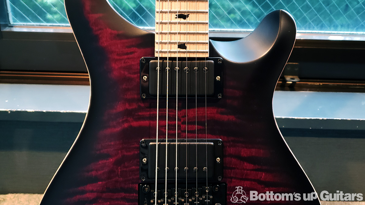 Paul Reed Smith DW CE 24 Floyd Dustie Waring Signature 【最新SPEC！】Between the Buried & Me シグネチャー フロイドローズ モジョトーン