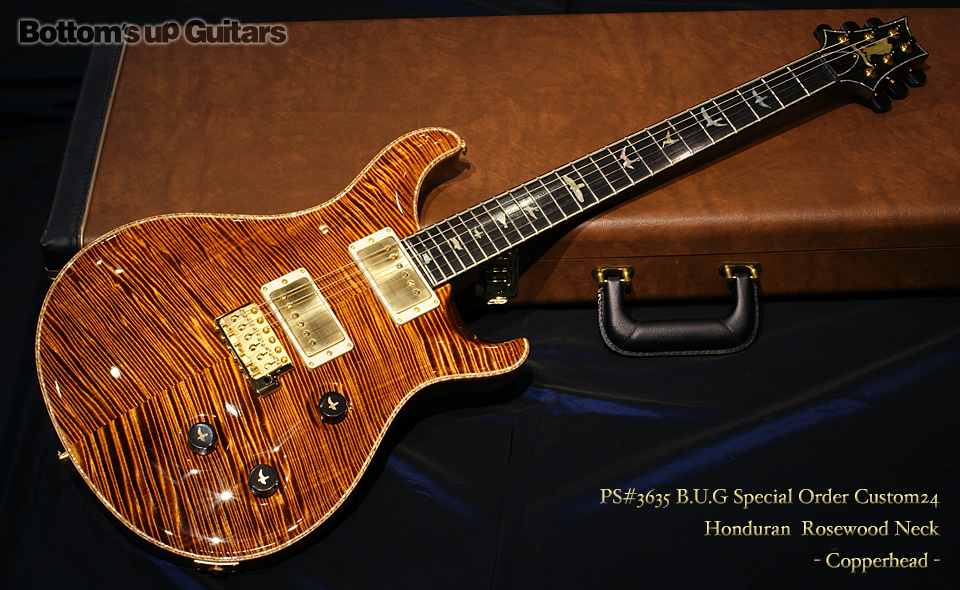 PS#3635 B.U.G Special Order Custom24 Honduran Rosewood Neck - Copperhead -