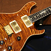 PS#3635 B.U.G Special Order Custom24 Honduran Rosewood Neck - Copperhead -