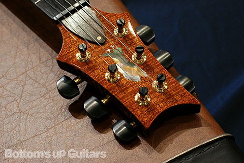 Paul's Special Stash / PRS Private Stock #3637 Studio - Tiger Eye - （B.U.G.オーダー品）