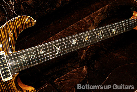 Paul's Special Stash / PRS Private Stock #3637 Studio - Tiger Eye - （B.U.G.オーダー品）