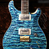 PRS PS#4654 Experience LTD #10 Custom22 Trem -Turquoise-