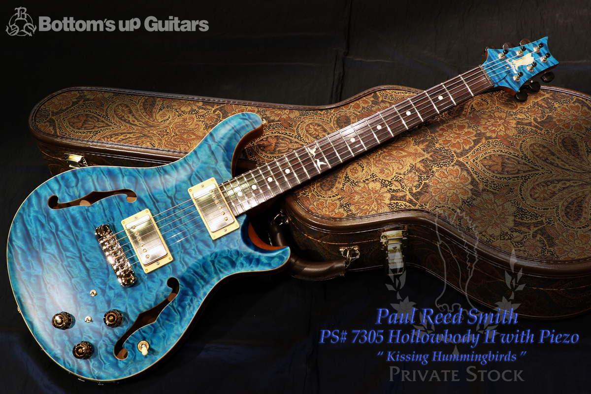 PRS Private Stock #7305 HB2 Piezo - Kissing Hummingbird - 現地オーダー品【PRS USA公式ギャラリーに採用!!】