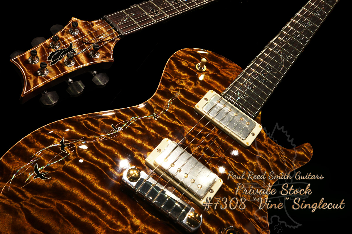 PRS Private Stock Single Cut with VINE Inlay on Body ＆ Fingerboard 【PRSファクトリー現地在選定＆オーダー品】