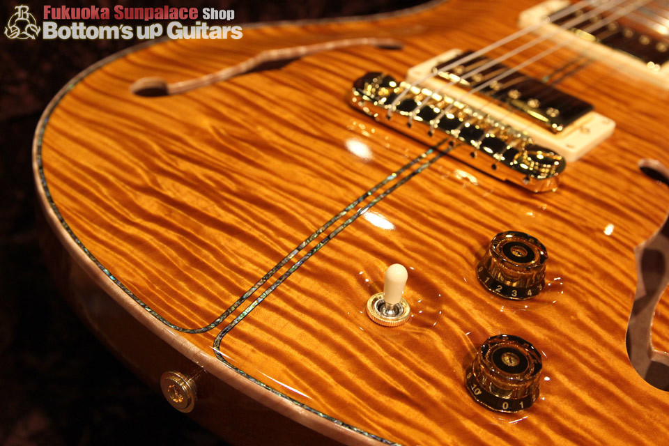 Paul Reed Smith(PRS) {BUG} Private Stock PS McCarty Semi-Hollow Double F-Hole with Purfling Around the Guitar