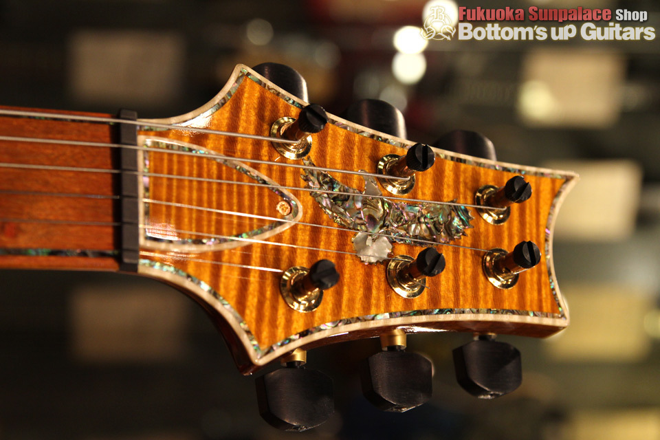 Paul Reed Smith(PRS) {BUG} Private Stock PS McCarty Semi-Hollow Double F-Hole with Purfling Around the Guitar