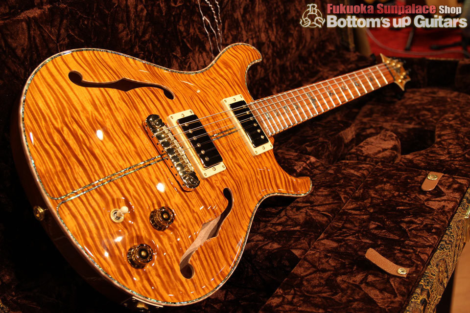 Paul Reed Smith(PRS) {BUG} Private Stock PS McCarty Semi-Hollow Double F-Hole with Purfling Around the Guitar