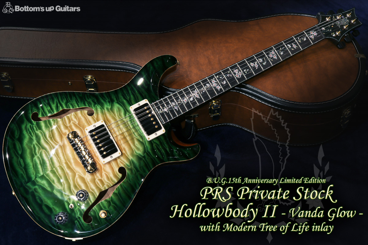 PRS PS#8465 B.U.G.15th Anniversary Limited Edition Hollowbody II