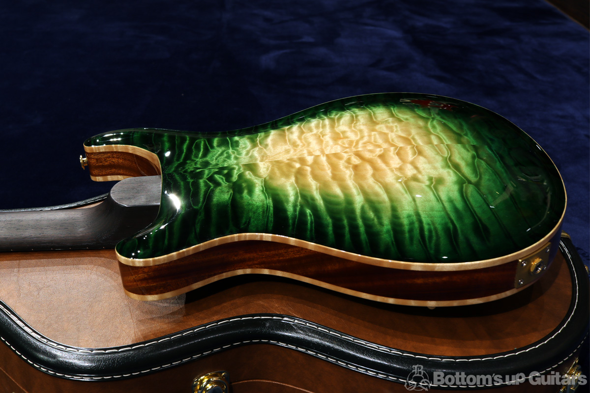 Paul Reed Smith(PRS) {BUG} PS#8465 B.U.G.15th Anniversary Limited Edition Hollowbody II Modern Tree of Life Vanda Glow プライベートストック ローズネック ツリー・オブ・ライフ ホロウボディ