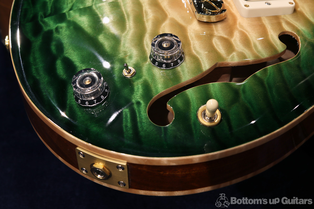 Paul Reed Smith(PRS) {BUG} PS#8465 B.U.G.15th Anniversary Limited Edition Hollowbody II Modern Tree of Life Vanda Glow プライベートストック ローズネック ツリー・オブ・ライフ ホロウボディ