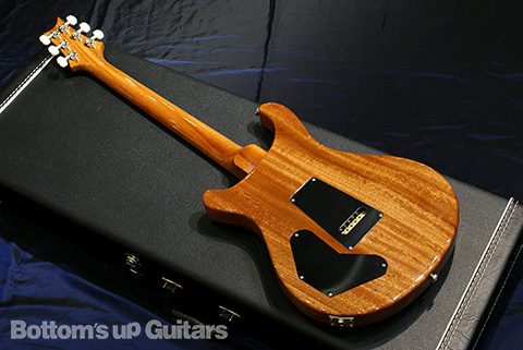 PRS DGT Standard Bird Inlay -Natural- 【限定生産オールマホガニー・リミテッドDGT】