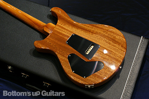 PRS DGT Standard Bird Inlay -Natural- 【限定生産オールマホガニー・リミテッドDGT】