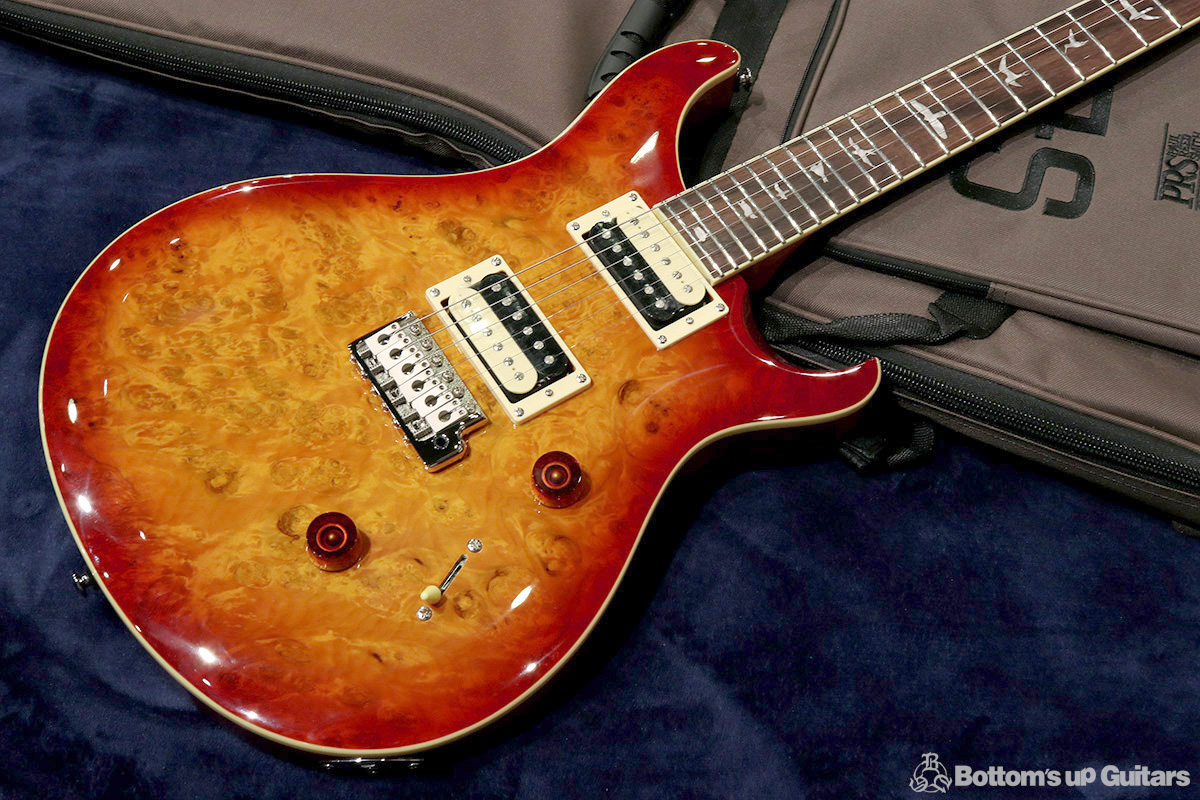  Paul Reed Smith  2019 SE Custom  SE Custom 24 Laurel Burl Limited 【アンティーク家具のようなバールトップの限定モデル!】  