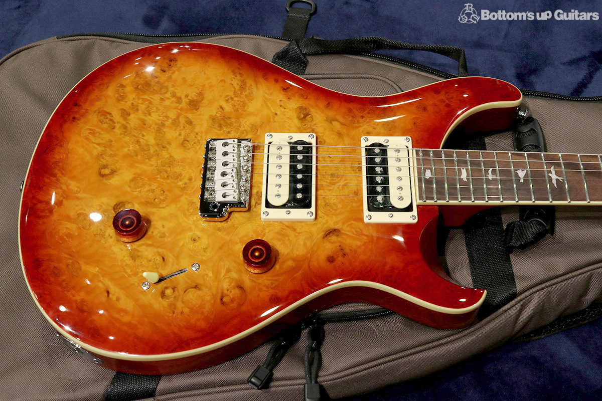  Paul Reed Smith  2019 SE Custom  SE Custom 24 Laurel Burl Limited 【アンティーク家具のようなバールトップの限定モデル!】  