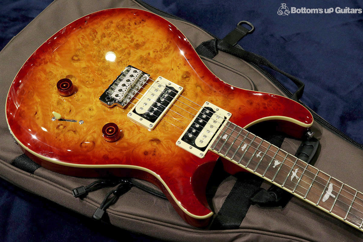  Paul Reed Smith  2019 SE Custom  SE Custom 24 Laurel Burl Limited 【アンティーク家具のようなバールトップの限定モデル!】  