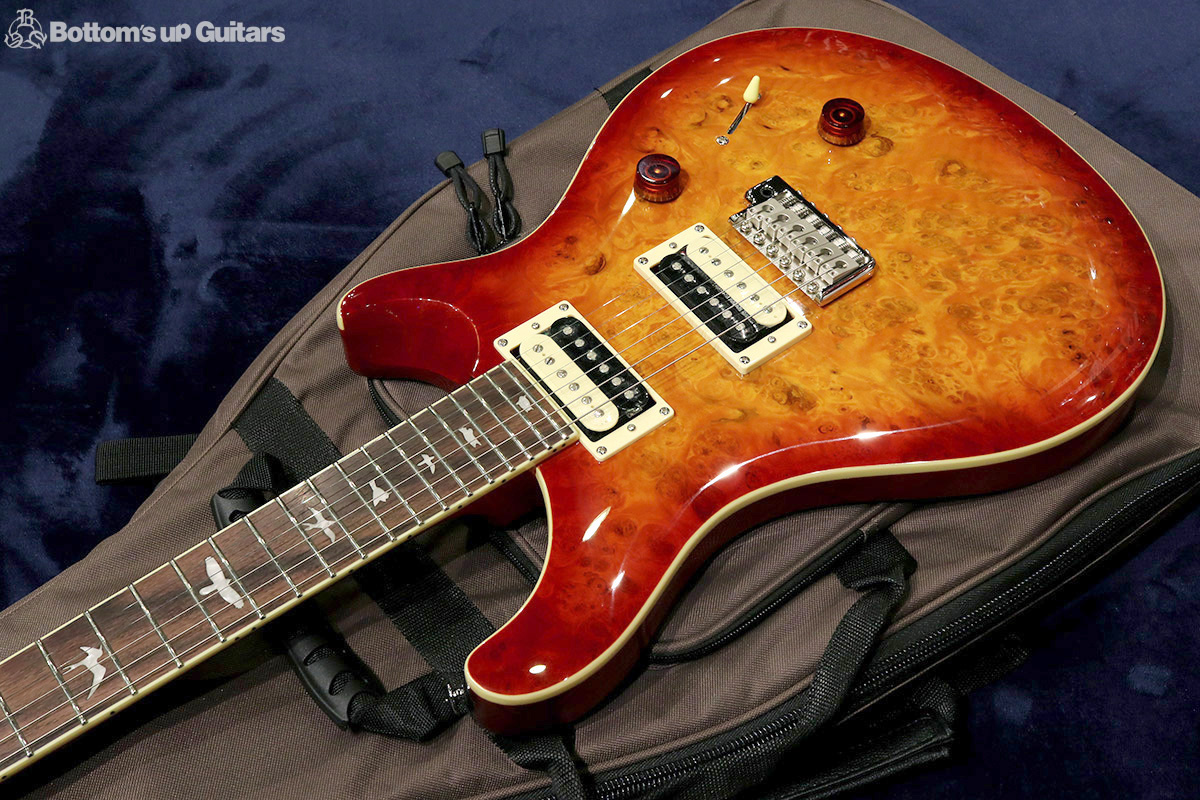  Paul Reed Smith  2019 SE Custom  SE Custom 24 Laurel Burl Limited 【アンティーク家具のようなバールトップの限定モデル!】  