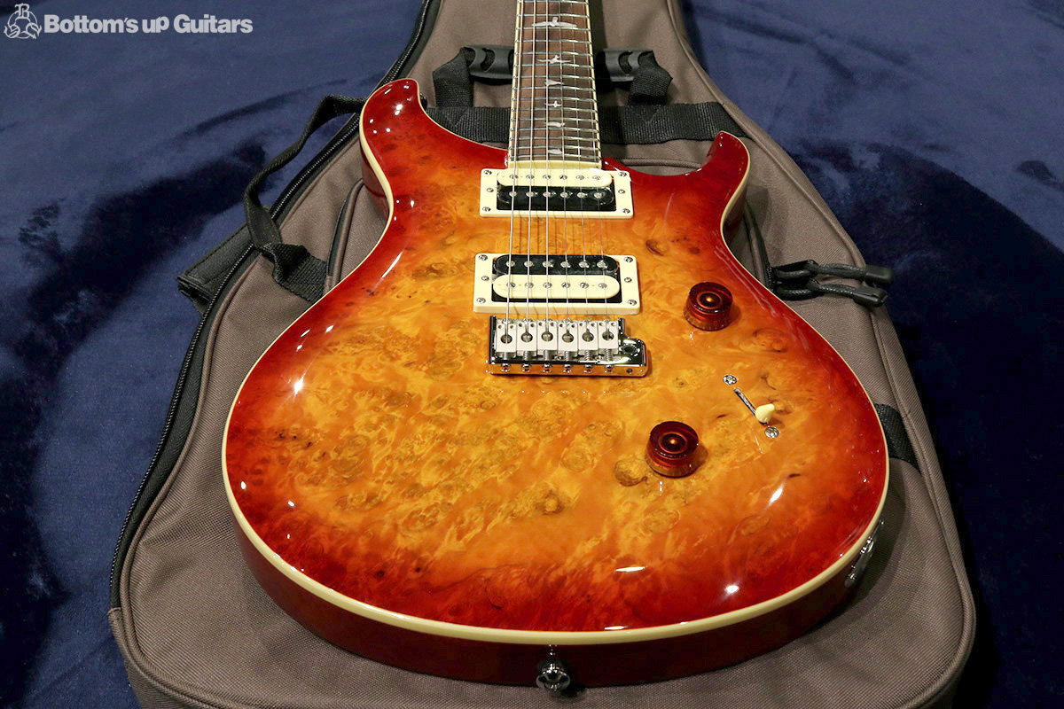  Paul Reed Smith  2019 SE Custom  SE Custom 24 Laurel Burl Limited 【アンティーク家具のようなバールトップの限定モデル!】  