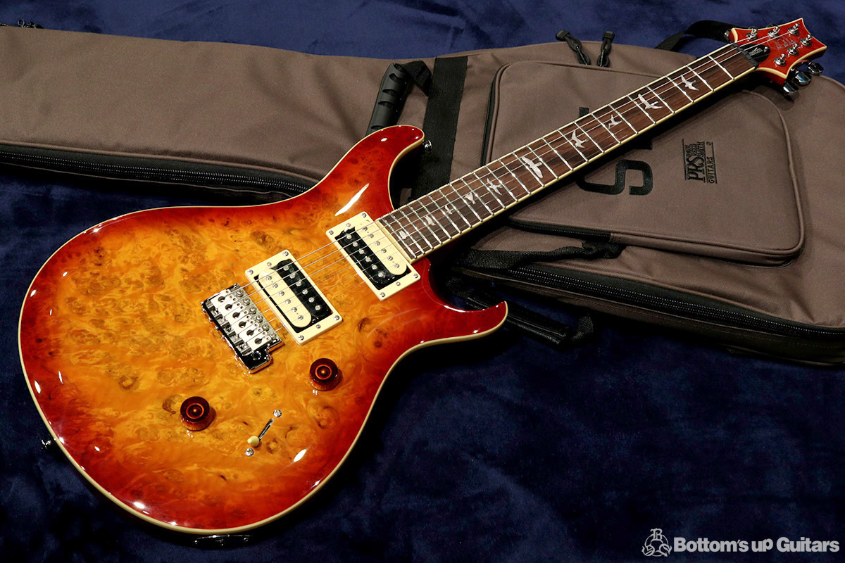  Paul Reed Smith  2019 SE Custom  SE Custom 24 Laurel Burl Limited 【アンティーク家具のようなバールトップの限定モデル!】  