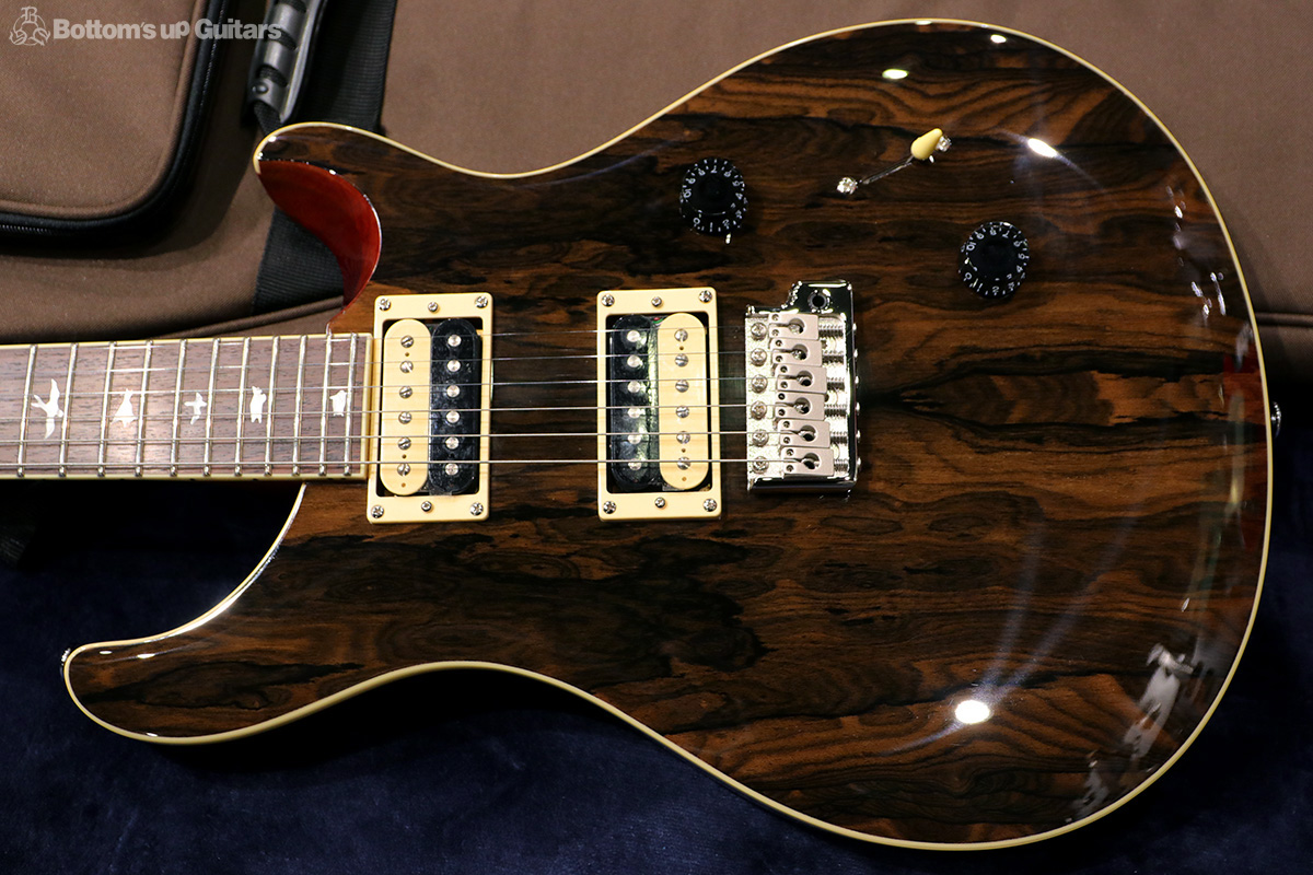 Paul Reed Smith  2019 SE Custom Roasted Maple Limited 【当社選定品 / アップグレードサービス有り!】 