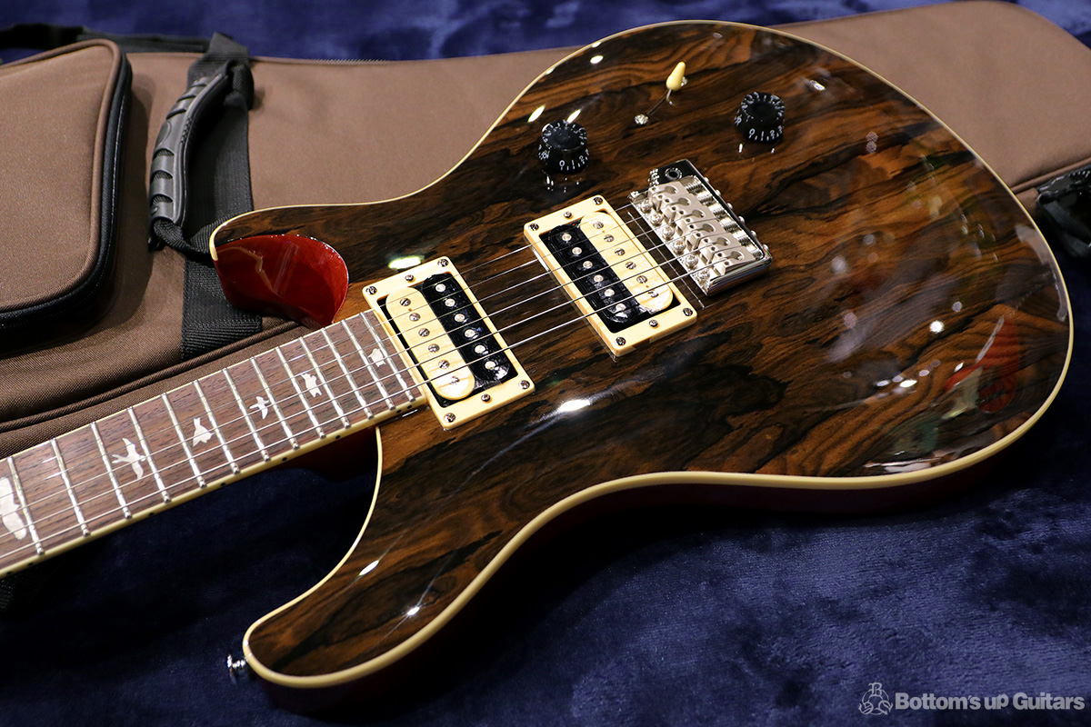 Paul Reed Smith  2019 SE Custom Roasted Maple Limited 【当社選定品 / アップグレードサービス有り!】 