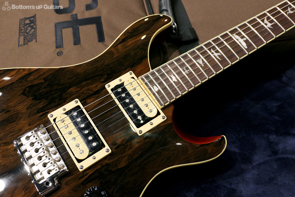 Paul Reed Smith  2019 SE Custom Roasted Maple Limited 【当社選定品 / アップグレードサービス有り!】 