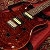 30th Anniversary SE Custom24 -Chestnut-Paul Reed Smith (PRS) 