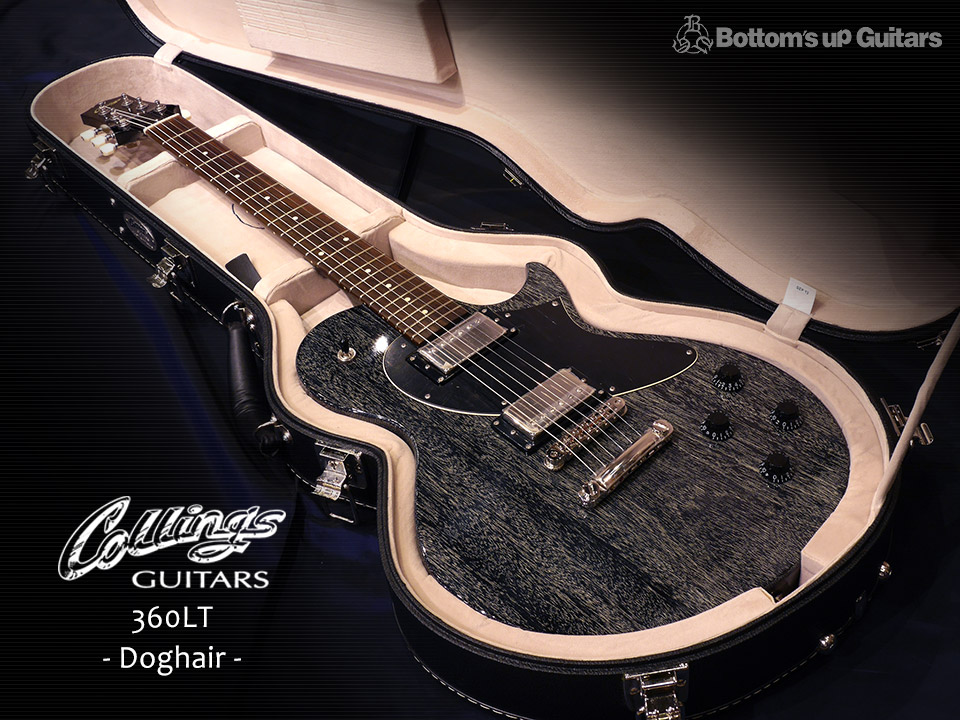 Collings Guitars 360LT Special Ordered 2 x Lollar Imperial Humbucker Doghair コリングス ホンマホ Houduras Mahogany