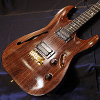 Combat 2014 Show Model All Rosewood Thru Neck ST Warm Allrose