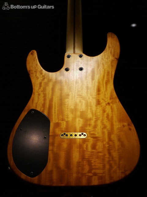 dragonfly SOTTILE 666 Burl Maple Figured Mahogany ドラゴンフライ ドラフラ