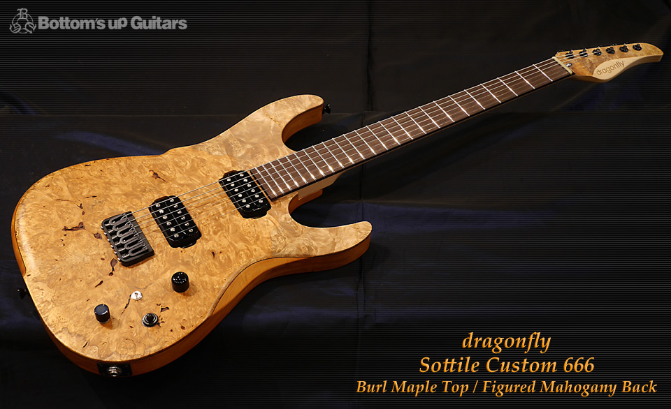 dragonfly SOTTILE 666 Burl Maple Figured Mahogany ドラゴンフライ ドラフラ