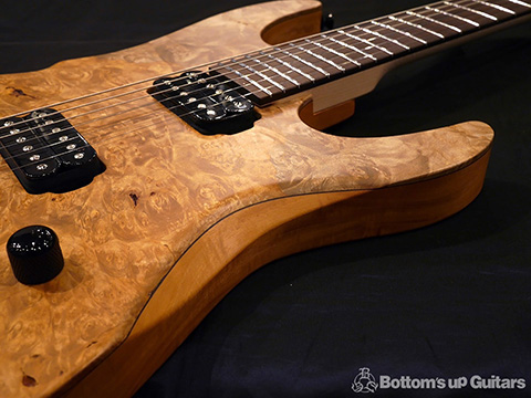 dragonfly SOTTILE 666 Burl Maple Figured Mahogany ドラゴンフライ ドラフラ