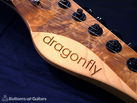 dragonfly SOTTILE 666 Burl Maple Figured Mahogany ドラゴンフライ ドラフラ