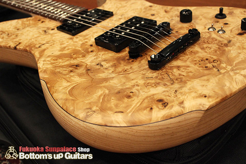 dragonfly BORDER Custom 666 Burl Chestnu Light Ash Body 栃バールトップ ドラゴンフライ ドラフラ