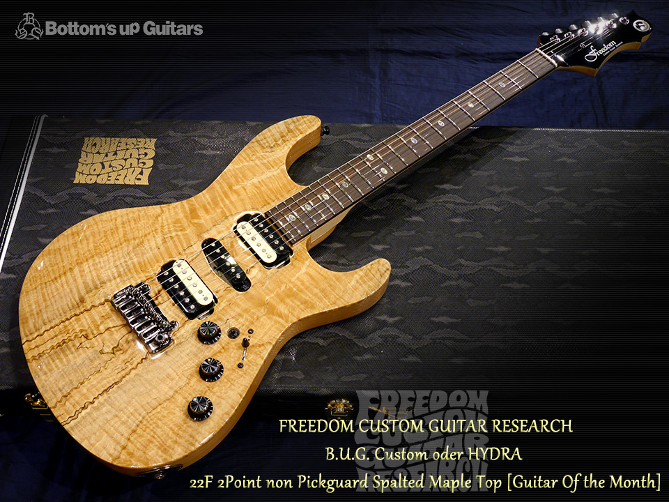 Freedom Custom Guitar Research （FCGR）HYDRA 22F 2Point non Pickguard Spalted Maple Top【Guitar Of the Month】 フリーダム 深野真 