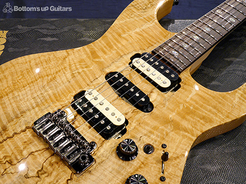 Freedom Custom Guitar Research （FCGR）HYDRA 22F 2Point non Pickguard Spalted Maple Top【Guitar Of the Month】 フリーダム 深野真 